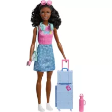 Mattel Barbie Family & Friends utazó Brooklyn baba kiegészítőkkel