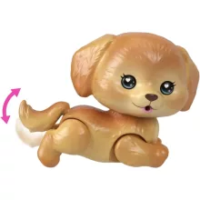 Mattel Barbie Pets trópusi kaland kiskutyával