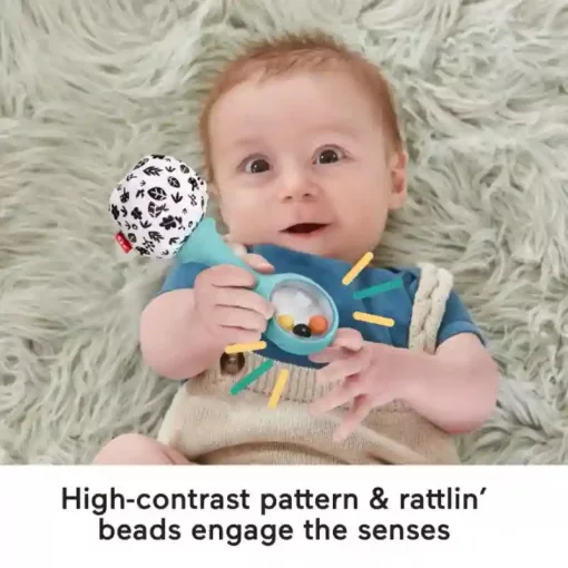 Mattel Fisher-Price színes rumbatökök