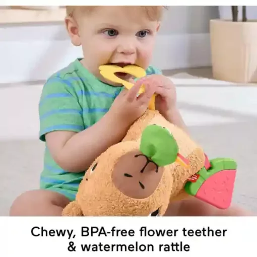 Mattel Fisher-Price - Foglalkoztató plüss kapibara babáknak