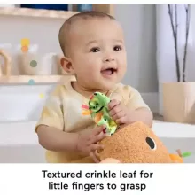 Mattel Fisher-Price - Foglalkoztató plüss kapibara babáknak