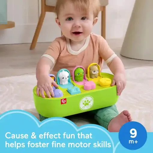 Mattel Fisher-Price - Pop-up állatos bújócska készségfejlesztő játék