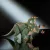   Mattel Jurassic World Sinoceratops dino figura 30cm, Hammond Collection