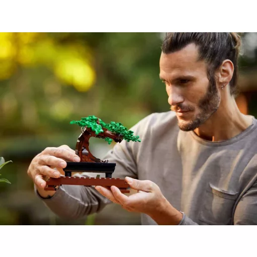 Lego Creator 10281 Bonsai fa