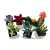 Lego Creator 10309 Pozsgások