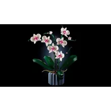 Lego Icons 10311 Orchidea