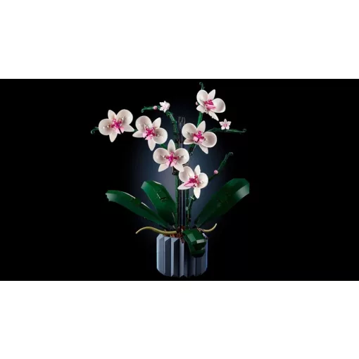 Lego Icons 10311 Orchidea