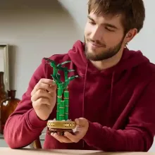 Lego Creator 10344 Szerencsebambusz