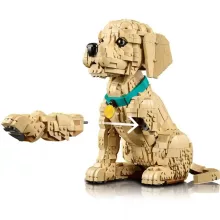Lego Icons 11384 Golden retriever kiskutyus