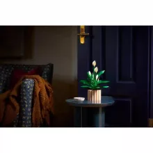 Lego Icons 11504 Vitorlavirág