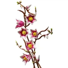 Lego Icons 11510 Magnólia virágok