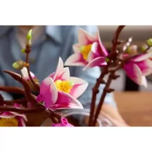 Lego Icons 11510 Magnólia virágok