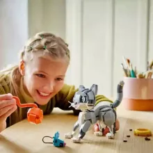 Lego Creator 31163 Játékos cica