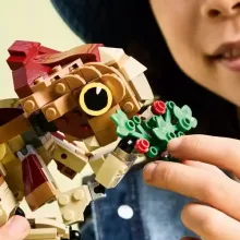 Lego Jurassic World 76970 Dolores, a bébi dinoszaurusz: Aquilops