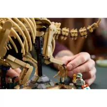 LEGO® Jurassic World 77985 Dinoszaurusz maradványok: Triceratops
