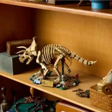 LEGO® Jurassic World 77985 Dinoszaurusz maradványok: Triceratops