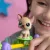   Littlest Pet Shop LPS - Tehetségkutató játékszett figurákkal (francia bulldog kutya, madár)