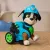   Mancs őrjárat: A dínófilm - Hátrahúzós interaktív Rex figura, Paw Patrol