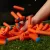 Hasbro Nerf N1 50db szivacslövedék