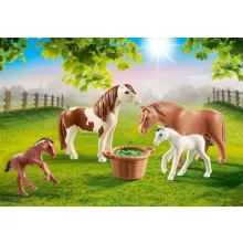 Playmobil 70682 Pónik csikókkal