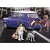 Playmobil 70921 Mini Cooper autó