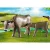 Playmobil 71307 A farm állatai
