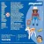 Playmobil 72026 Western lovas csikóval