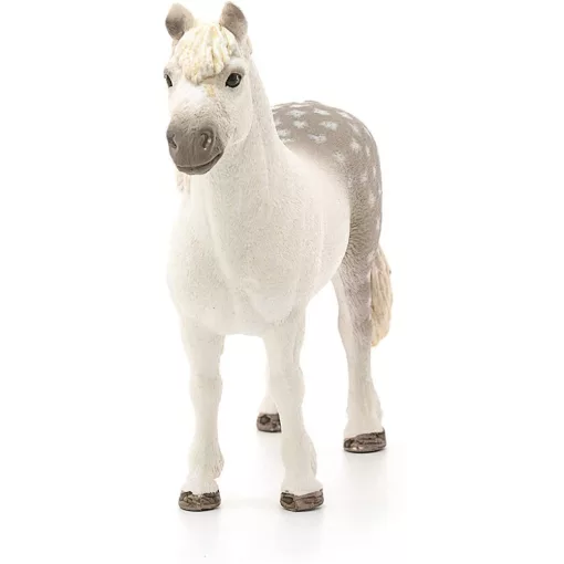 Schleich 13871 Welsh póni csődör
