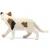 Schleich 13894 Amerikai rövidszőrű macska