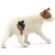 Schleich 13894 Amerikai rövidszőrű macska