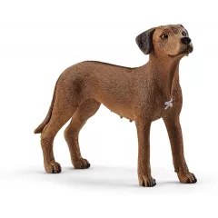 Schleich 13895 Afrikai oroszlánkutya