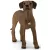 Schleich 13895 Afrikai oroszlánkutya
