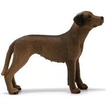 Schleich 13895 Afrikai oroszlánkutya