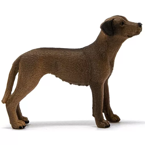 Schleich 13895 Afrikai oroszlánkutya