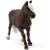 Schleich 13898 Schwarzwaldi kanca