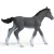 Schleich 13944 Trakehneni csikó