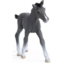 Schleich 13944 Trakehneni csikó