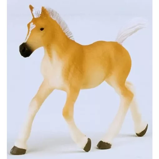 Schleich 13951 Haflingi csikó