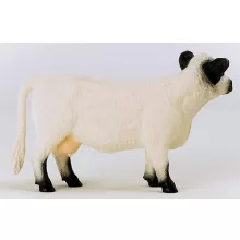 Schleich 13960 Galloway szarvasmarha tehén