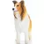 Schleich 13998 Hosszúszőrű skót juhászkutya