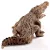 Schleich 14737 Arapapagáj