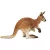 Schleich 14756 Kenguru