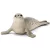 Schleich 14801 Fóka