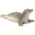 Schleich 14801 Fóka