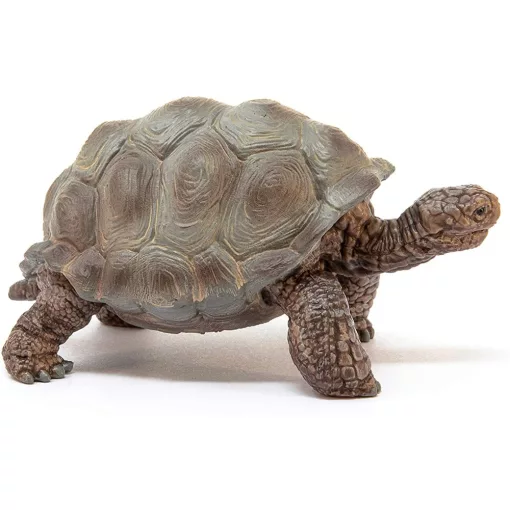 Schleich 14824 Óriásteknős
