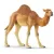 Schleich 14832 Dromedár