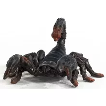 Schleich 14857 Császárskorpió