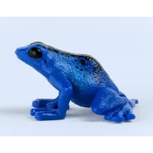 Schleich 14864 Kék nyílméregbéka