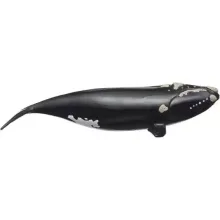 Schleich 14878 Északi simabálna