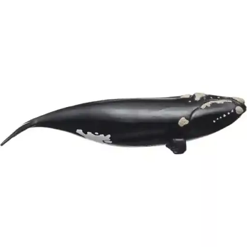 Schleich 14878 Északi simabálna